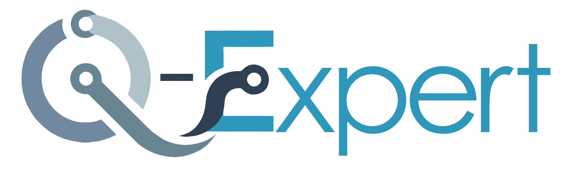 Q-Expert